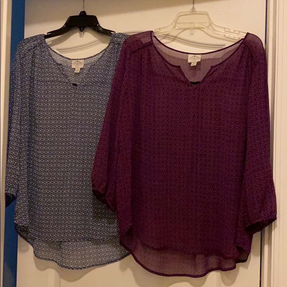 TWO St. John’s Bay Blouses